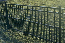 Ornamental Steel Puppy Picket Flat Top 8' Wide x 6' Tall 4-Rail Fence Panel with 3-7/8" Air Space